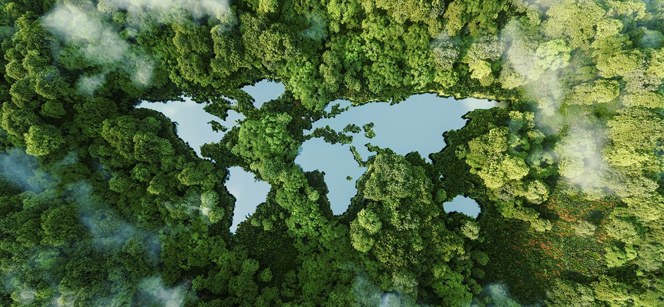 environment